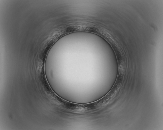 X0000112930458200909141337