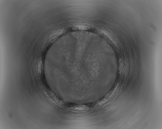 X0000112930459200909141337