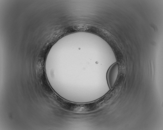 X0000112930460200909141337