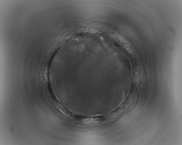 X0000112930465200909141337