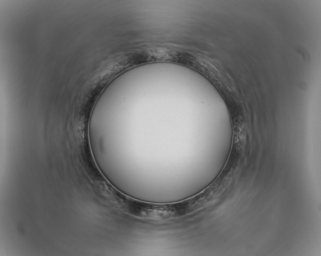 X0000112930466200909141337