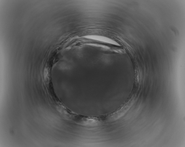 X0000112930475200909141337