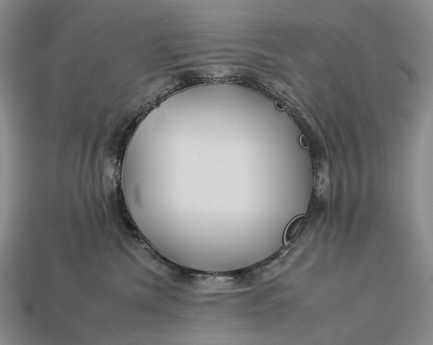 X0000112930476200909141337