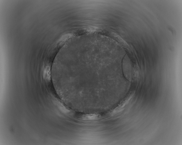 X0000112930479200909141337