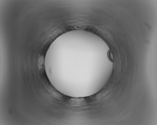 X0000112930480200909141337