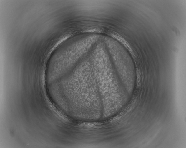 X0000112930482200909141336