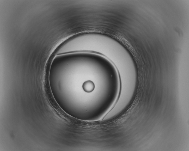 X0000112930484200909141336