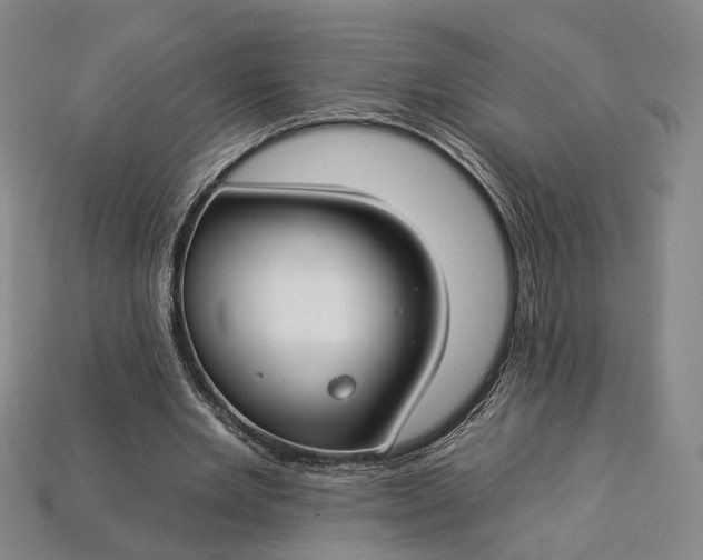 X0000112930485200909141336