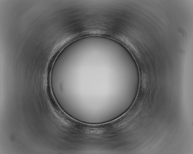 X0000112930486200909141336