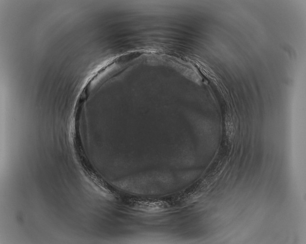 X0000112930488200909141336