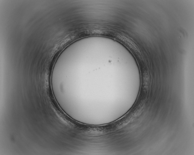 X0000112930489200909141336