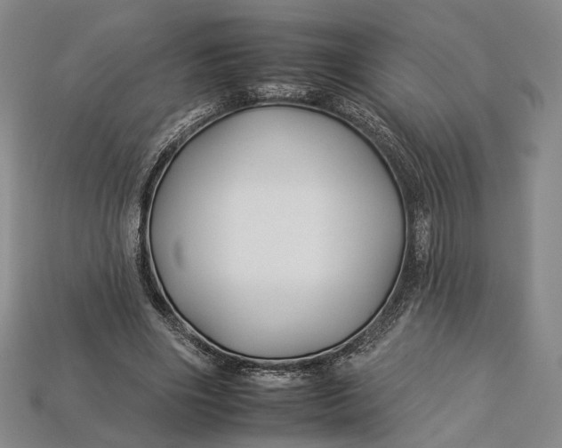 X0000112930490200909141336