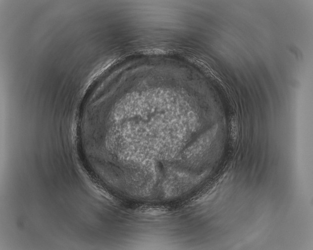 X0000112930491200909141336