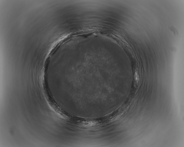 X0000112930492200909141336