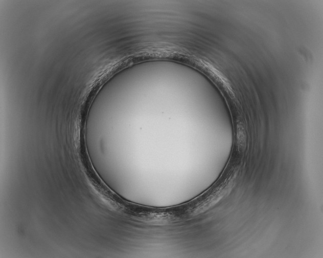 X0000112930493200909141336