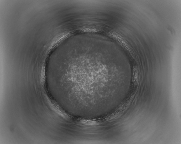 X0000112930494200909141336