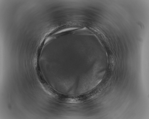 X0000112930496200909141336