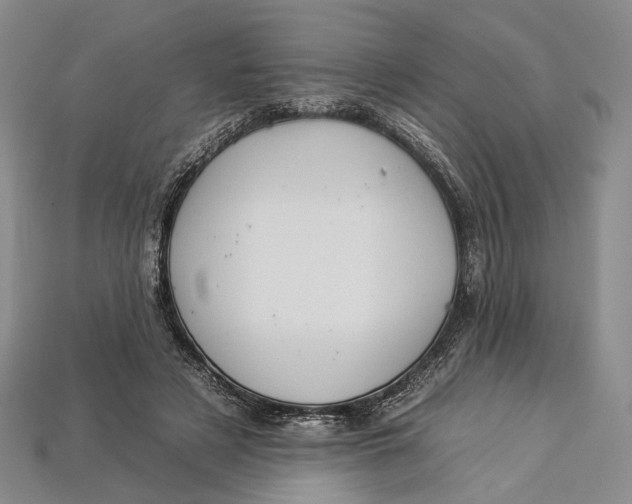 X0000112930497200909141336