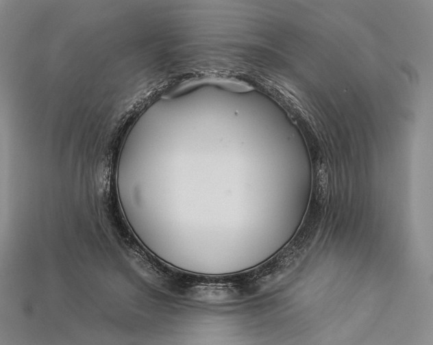 X0000112930499200909141336