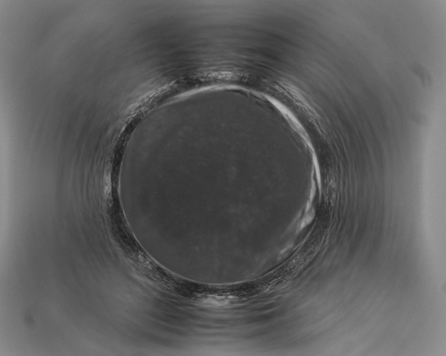 X0000112930500200909141336