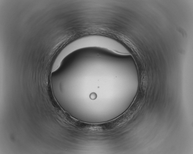 X0000112930501200909141336