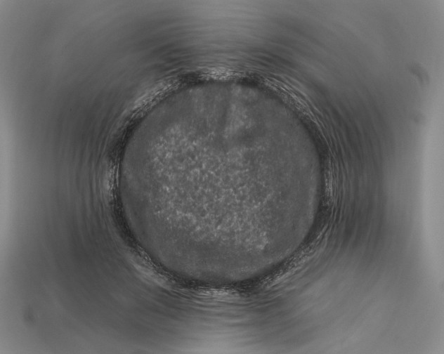 X0000112930503200909141336