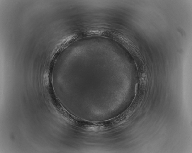 X0000112930504200909141336