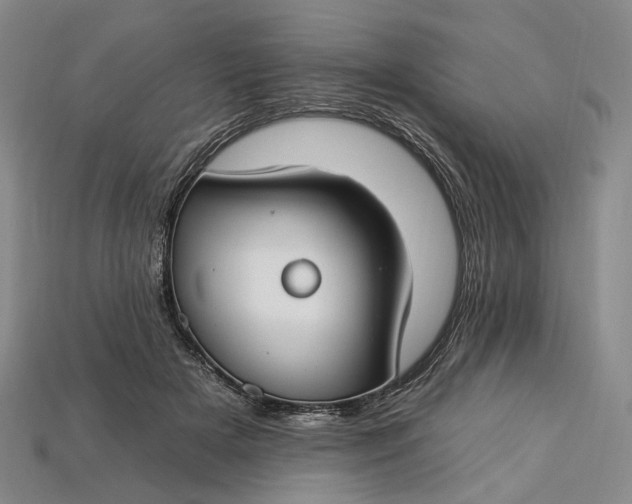 X0000112930505200909141336