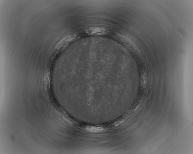 X0000112930506200909141336