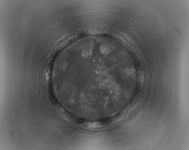 X0000112930507200909141336