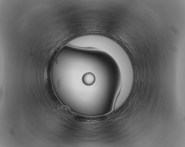 X0000112930508200909141336