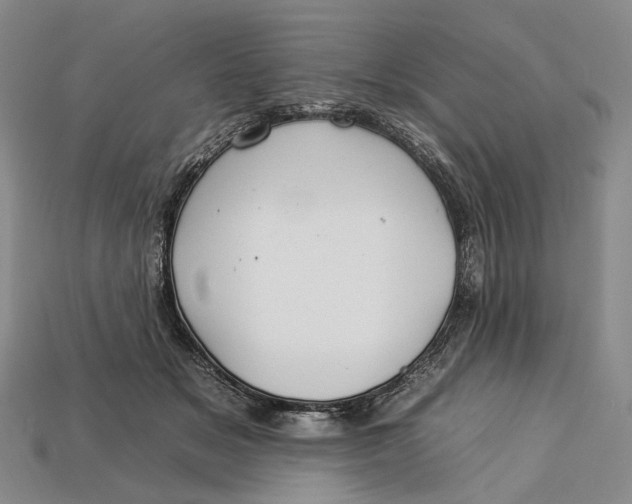 X0000112930509200909141336