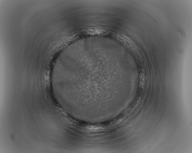 X0000112930510200909141336