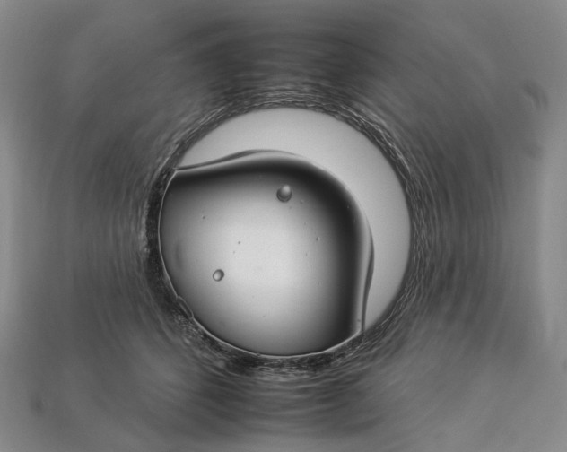 X0000112930512200909141336