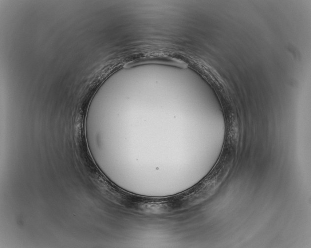 X0000112930513200909141336