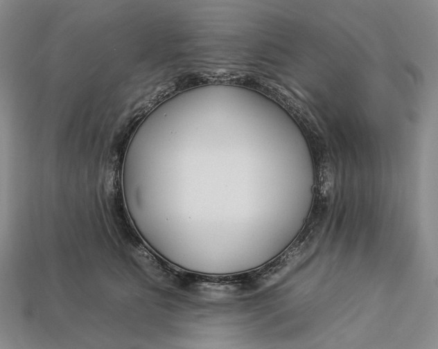 X0000112930515200909141336