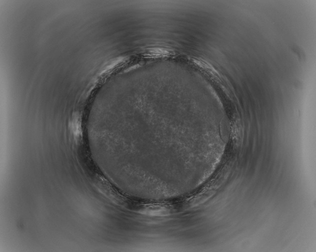 X0000112930516200909141336