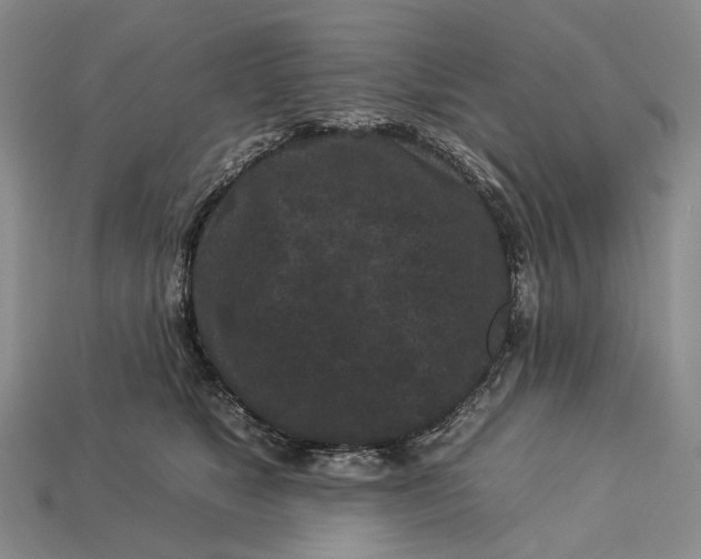 X0000112930517200909141336