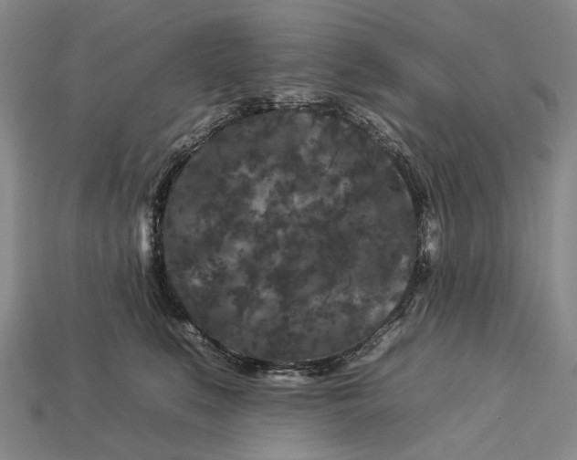 X0000112930519200909141336