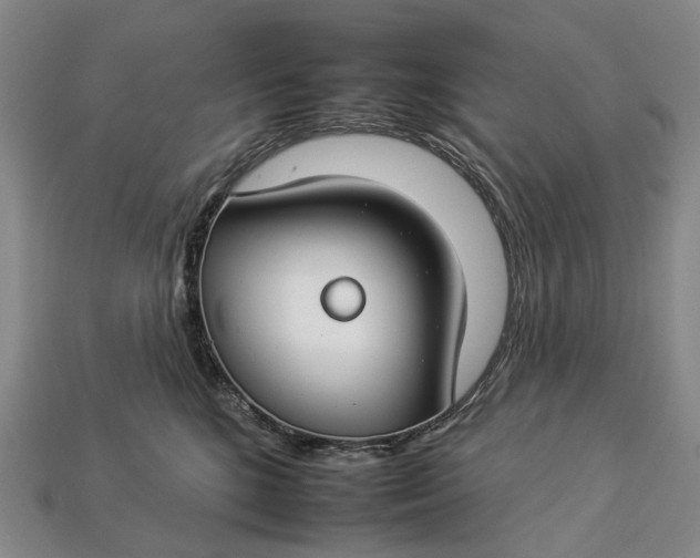 X0000112930520200909141336