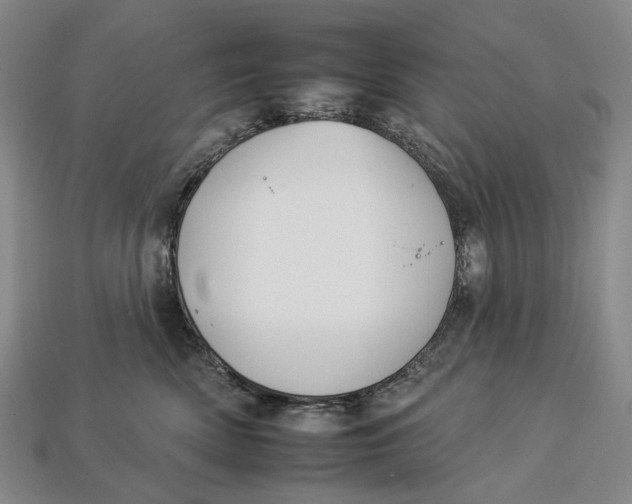 X0000112930522200909141336