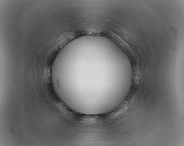 X0000112930523200909141336