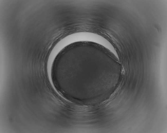 X0000112930524200909141336