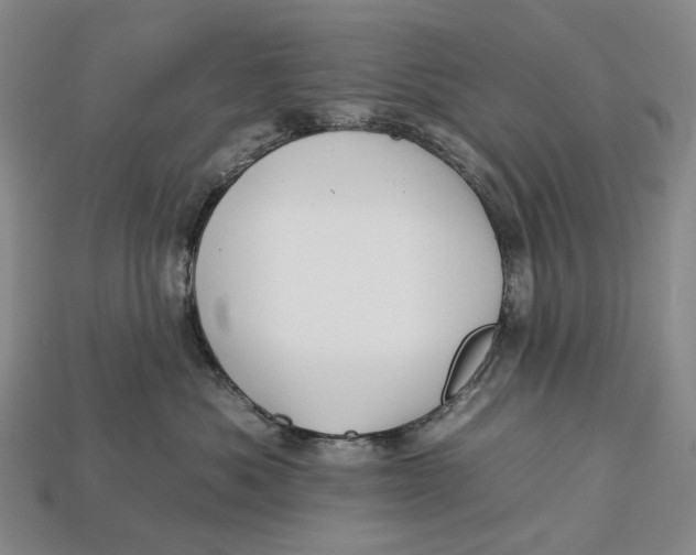 X0000112930525200909141336