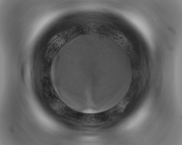 X0000112930526200909141336