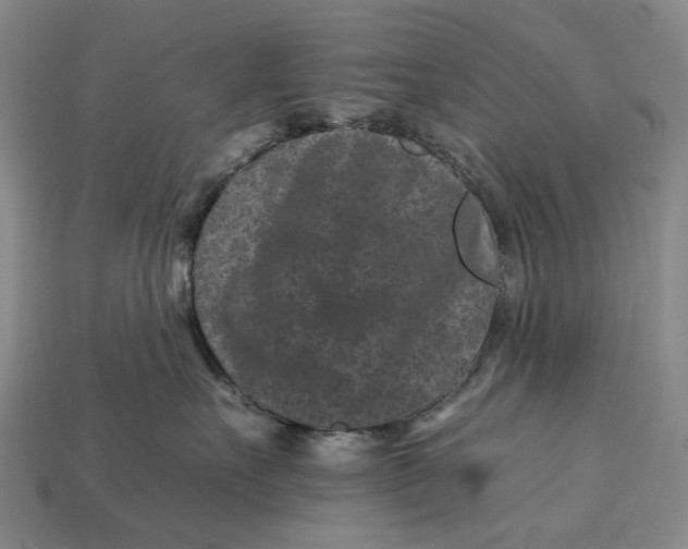 X0000112930527200909141336