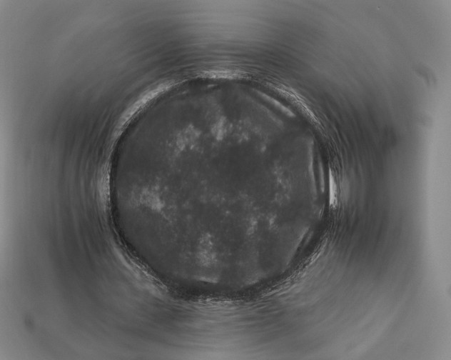 X0000112930531200909141335