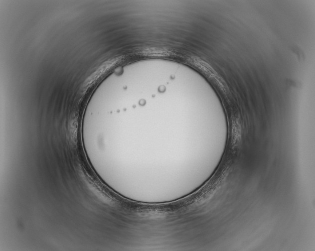 X0000112930533200909141335