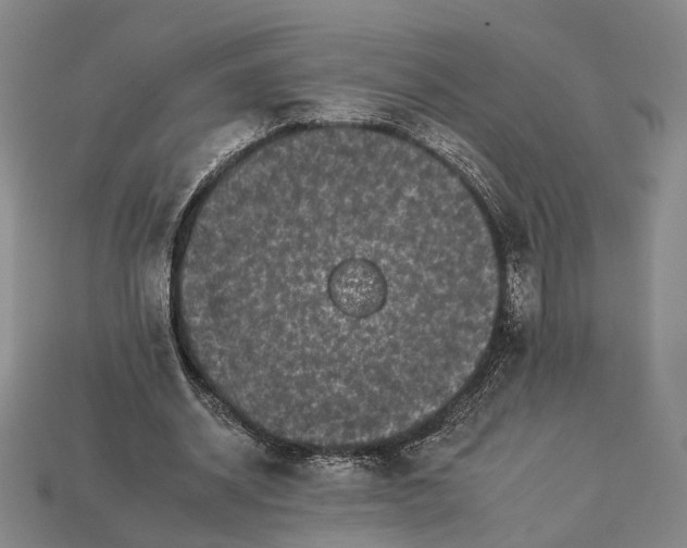 X0000112930534200909141335