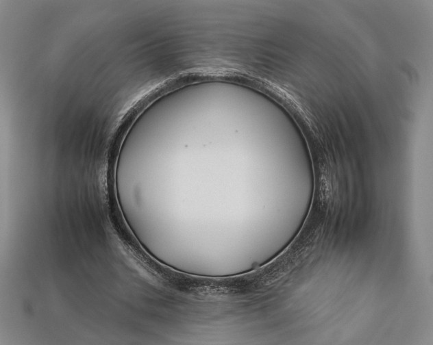 X0000112930535200909141335